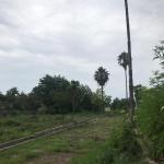 خرید زمین با ویوی بی نظیر جنگل و دریا